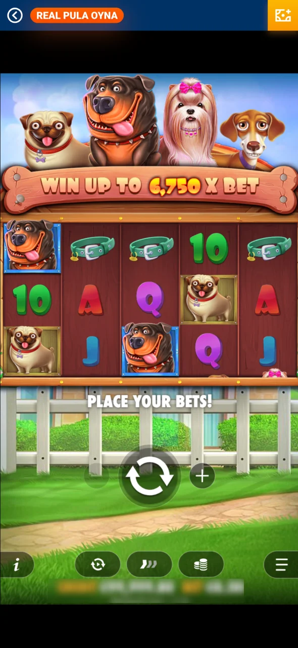 Mostbet-də The Dog House oyununu tapın və oynayın.